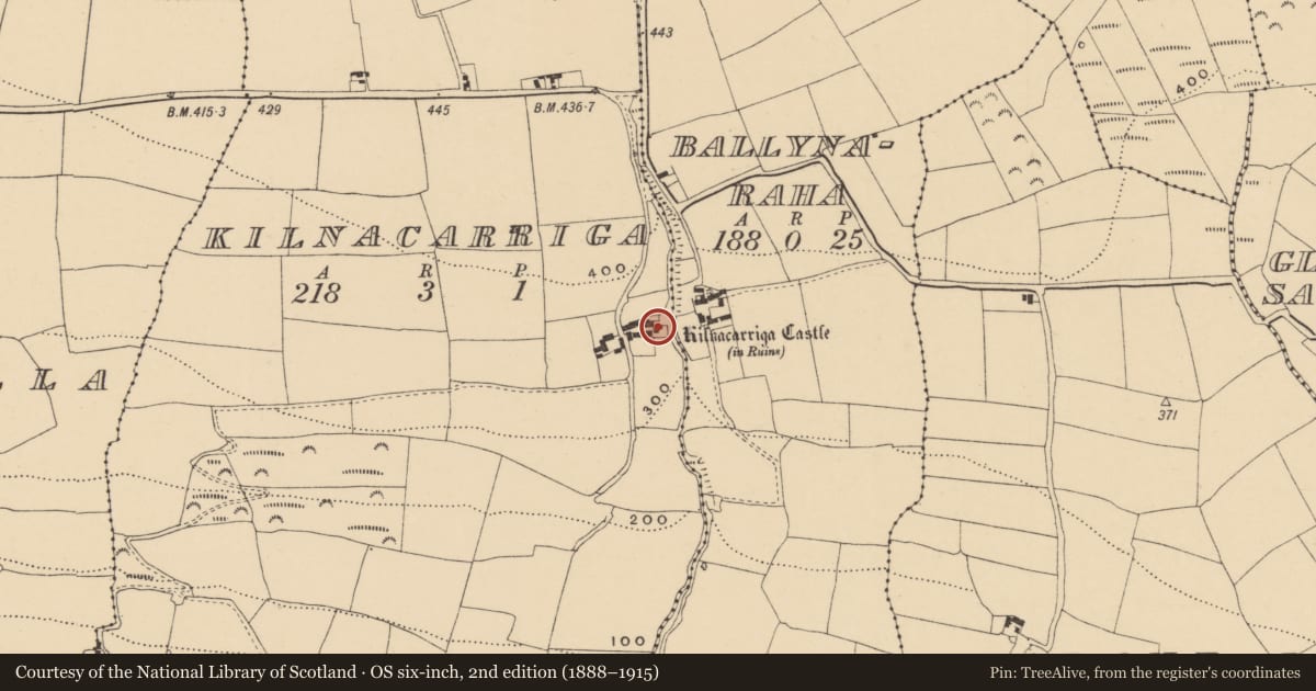 Ordnance Survey six-inch map, 2nd edition (1888–1915) covering the location of Castle - unclassified, Ballynaraha, County Waterford, with a pin at the register's coordinates