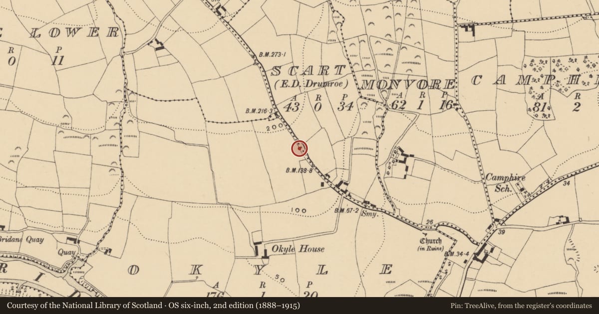 Ordnance Survey six-inch map, 2nd edition (1888–1915) covering the location of Burial ground, Okyle, County Waterford, with a pin at the register's coordinates