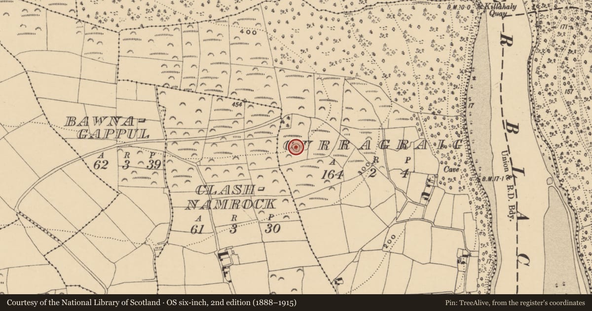 Ordnance Survey six-inch map, 2nd edition (1888–1915) covering the location of Enclosure, Curragraig, County Waterford, with a pin at the register's coordinates