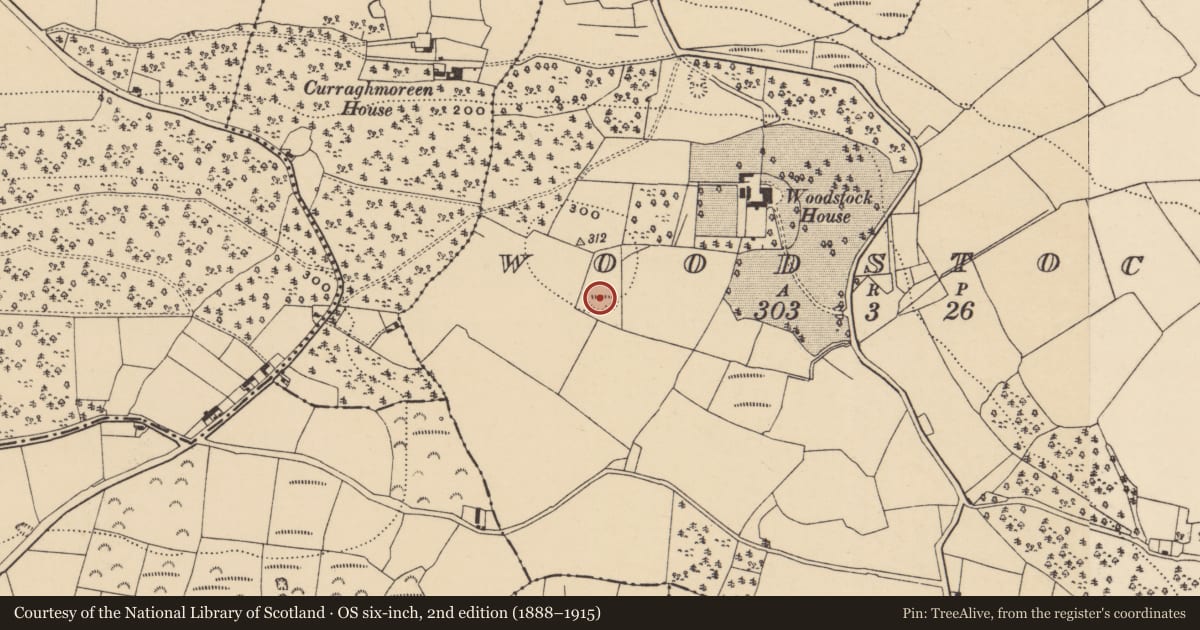 Ordnance Survey six-inch map, 2nd edition (1888–1915) covering the location of Ringfort - rath, Woodstock, County Waterford, with a pin at the register's coordinates