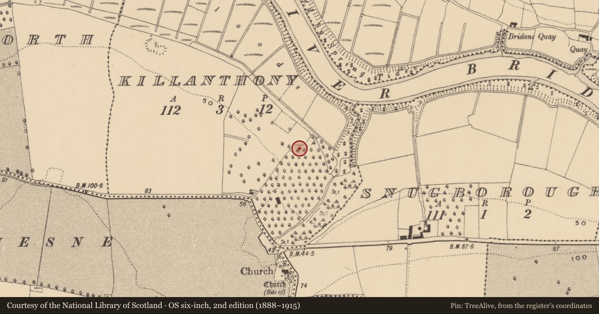 Ordnance Survey six-inch map, 2nd edition (1888–1915) covering the location of Church, Killanthony, County Waterford, with a pin at the register's coordinates