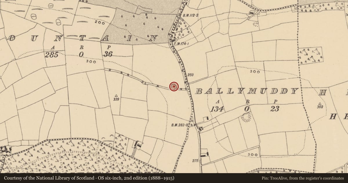 Ordnance Survey six-inch map, 2nd edition (1888–1915) covering the location of Ringfort - rath, Fountain, County Waterford, with a pin at the register's coordinates