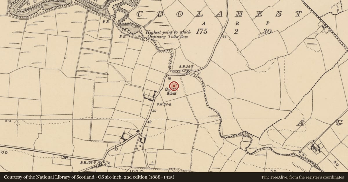 Ordnance Survey six-inch map, 2nd edition (1888–1915) covering the location of Ogham stone, Dromore, County Waterford, with a pin at the register's coordinates