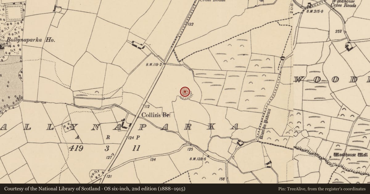 Ordnance Survey six-inch map, 2nd edition (1888–1915) covering the location of Ringfort - rath, Ballynaparka (Decies within Drum By., Kilmolash Par.), County Waterford, with a pin at the register's coordinates