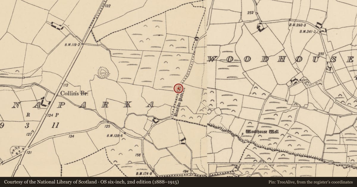 Ordnance Survey six-inch map, 2nd edition (1888–1915) covering the location of Road - road/trackway, County Waterford, with a pin at the register's coordinates