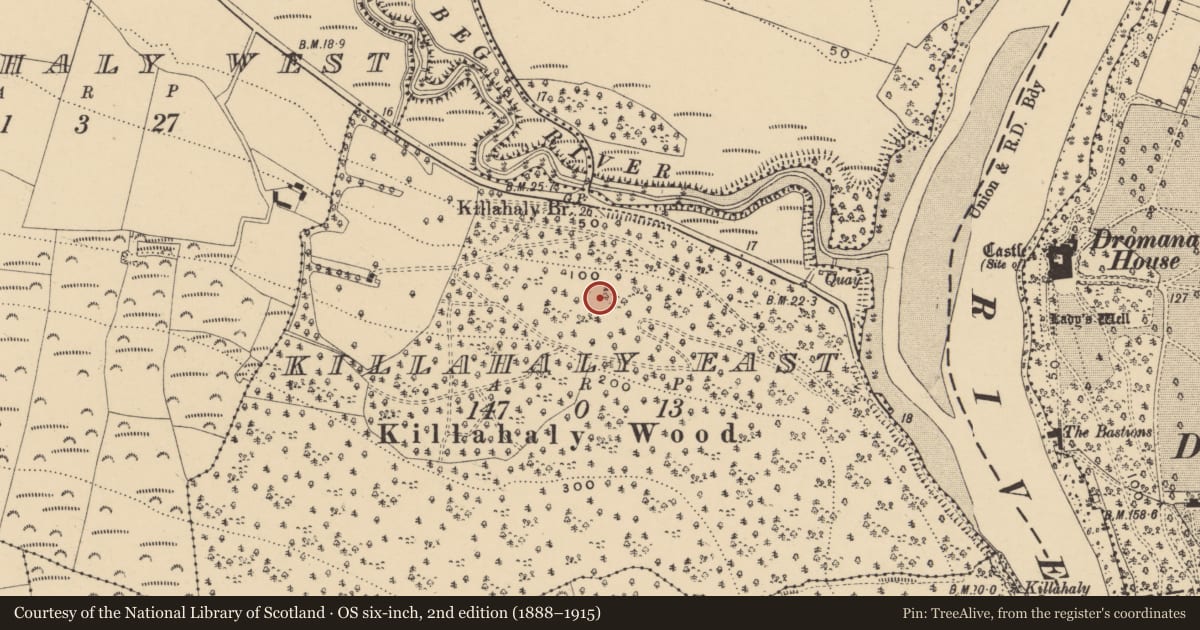 Ordnance Survey six-inch map, 2nd edition (1888–1915) covering the location of Linear earthwork, Killahaly East, County Waterford, with a pin at the register's coordinates
