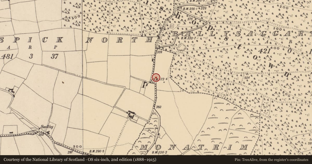 Ordnance Survey six-inch map, 2nd edition (1888–1915) covering the location of Ring-ditch, Monatrim Upper, County Waterford, with a pin at the register's coordinates