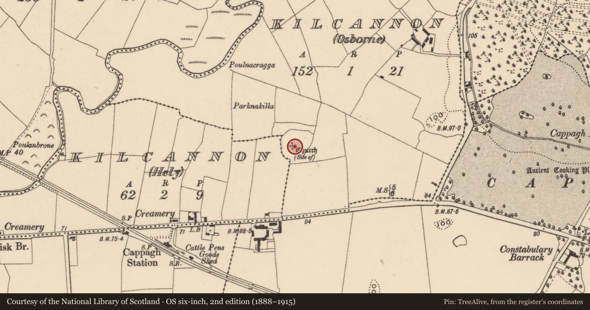 Ordnance Survey six-inch map, 2nd edition (1888–1915) covering the location of Ecclesiastical enclosure, Kilcannon (Hely), Kilcannon (Osborne), County Waterford, with a pin at the register's coordinates