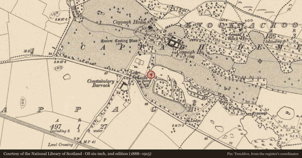 Ordnance Survey six-inch map, 2nd edition (1888–1915) covering the location of Castle - tower house, Cappagh, County Waterford, with a pin at the register's coordinates