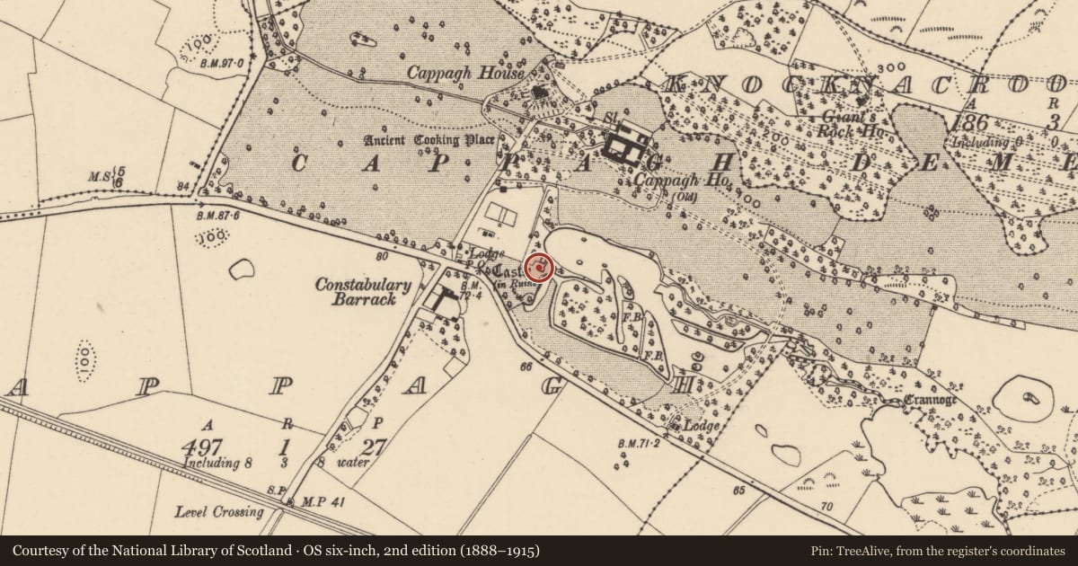 Ordnance Survey six-inch map, 2nd edition (1888–1915) covering the location of Bawn, Cappagh, County Waterford, with a pin at the register's coordinates