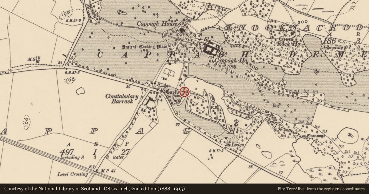Ordnance Survey six-inch map, 2nd edition (1888–1915) covering the location of Cross-inscribed stone (present location), Cappagh, County Waterford, with a pin at the register's coordinates