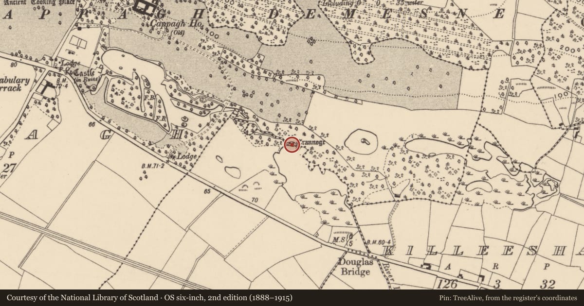 Ordnance Survey six-inch map, 2nd edition (1888–1915) covering the location of Crannog, Cappagh, County Waterford, with a pin at the register's coordinates