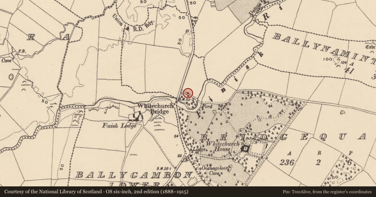 Ordnance Survey six-inch map, 2nd edition (1888–1915) covering the location of Road - road/trackway, Bridgequarter, County Waterford, with a pin at the register's coordinates