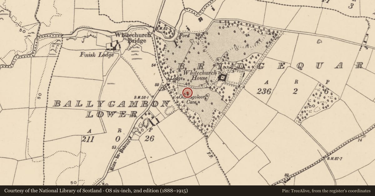 Ordnance Survey six-inch map, 2nd edition (1888–1915) covering the location of Cave, Bridgequarter, County Waterford, with a pin at the register's coordinates