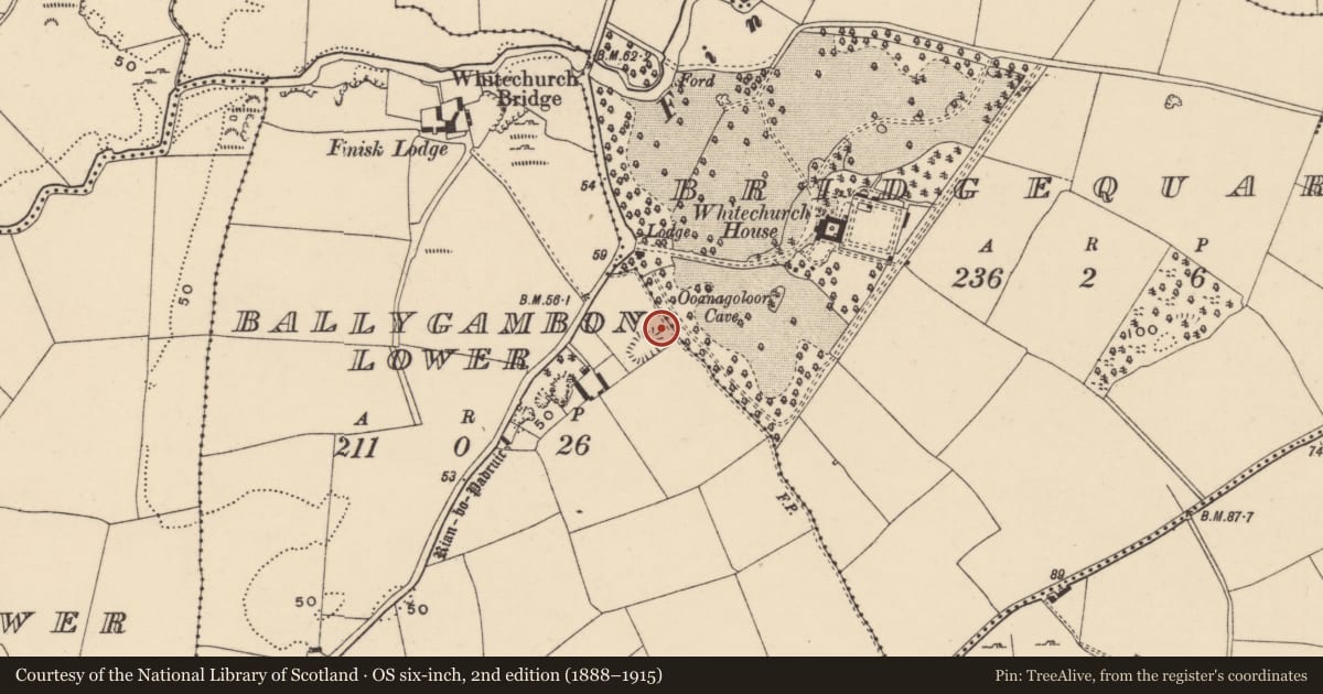 Ordnance Survey six-inch map, 2nd edition (1888–1915) covering the location of Cave, Ballygambon Lower, County Waterford, with a pin at the register's coordinates