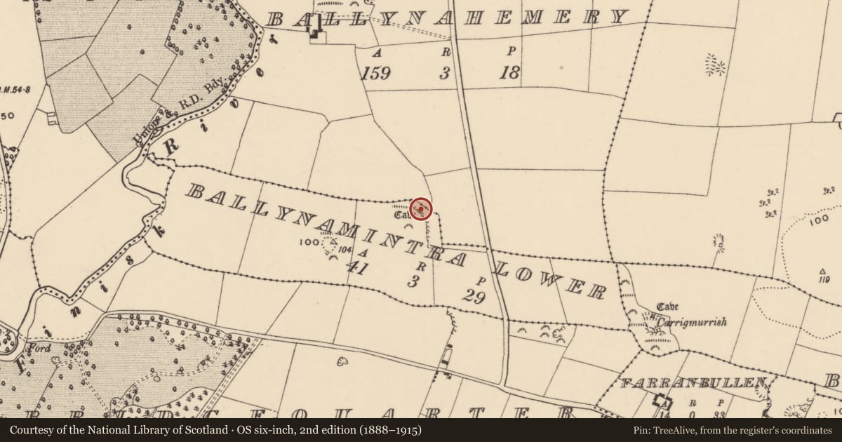 Ordnance Survey six-inch map, 2nd edition (1888–1915) covering the location of Cave, Ballynamintra Lower, County Waterford, with a pin at the register's coordinates