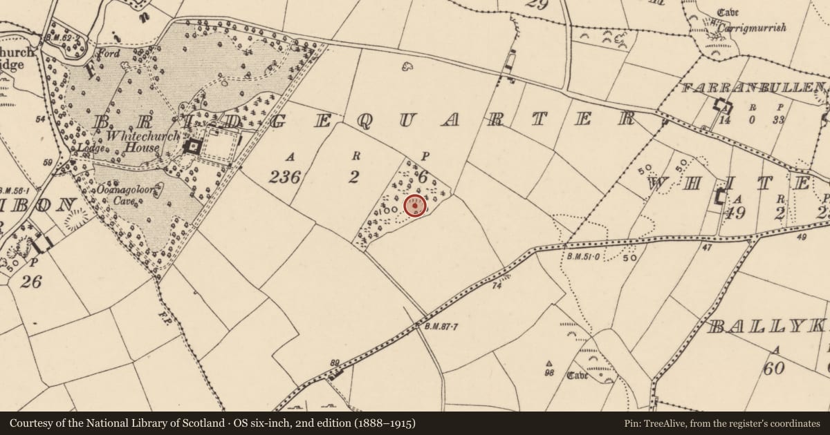Ordnance Survey six-inch map, 2nd edition (1888–1915) covering the location of Enclosure, Bridgequarter, County Waterford, with a pin at the register's coordinates