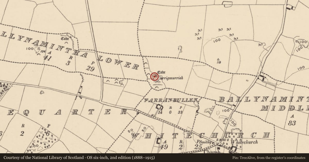 Ordnance Survey six-inch map, 2nd edition (1888–1915) covering the location of Enclosure, Ballynamintra Middle, County Waterford, with a pin at the register's coordinates