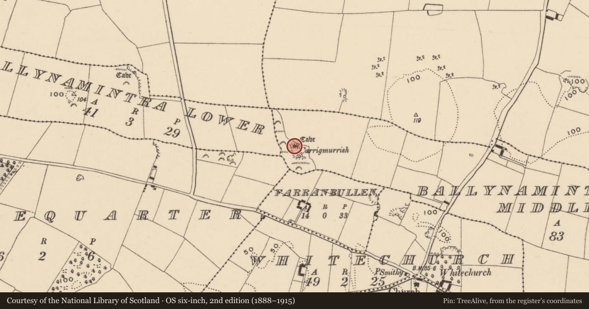 Ordnance Survey six-inch map, 2nd edition (1888–1915) covering the location of Midden, Ballynamintra Middle, County Waterford, with a pin at the register's coordinates