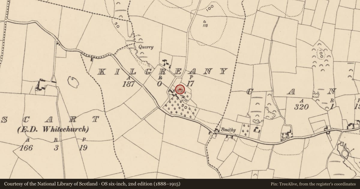 Ordnance Survey six-inch map, 2nd edition (1888–1915) covering the location of Cave, Kilgreany, County Waterford, with a pin at the register's coordinates