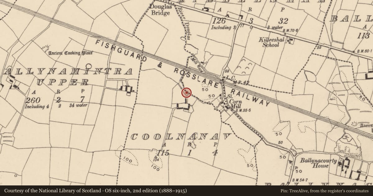 Ordnance Survey six-inch map, 2nd edition (1888–1915) covering the location of Water mill - horizontal-wheeled, Coolnanav, County Waterford, with a pin at the register's coordinates