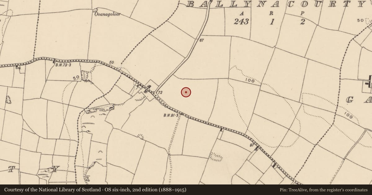Ordnance Survey six-inch map, 2nd edition (1888–1915) covering the location of Enclosure, Ballynacourty (Decies without Drum By., Whitechurch Par.), County Waterford, with a pin at the register's coordinates