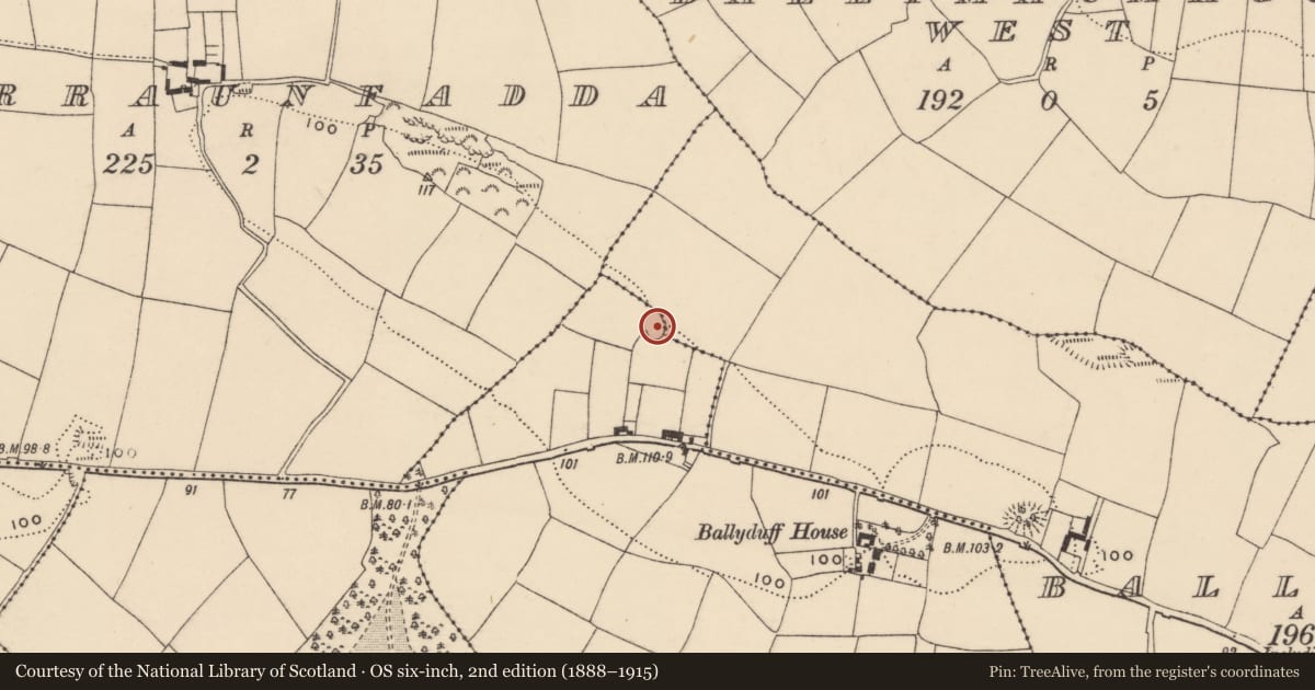 Ordnance Survey six-inch map, 2nd edition (1888–1915) covering the location of Enclosure, Ballyduff, Ballyduff More, County Waterford, with a pin at the register's coordinates