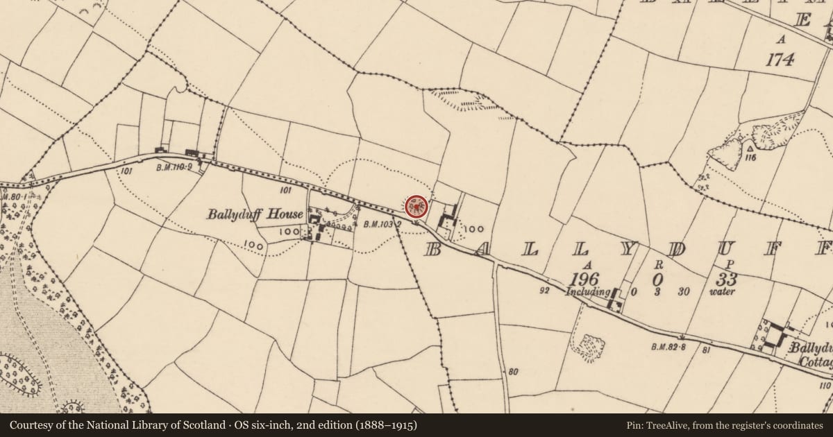 Ordnance Survey six-inch map, 2nd edition (1888–1915) covering the location of Ringfort - rath, Ballyduff, County Waterford, with a pin at the register's coordinates