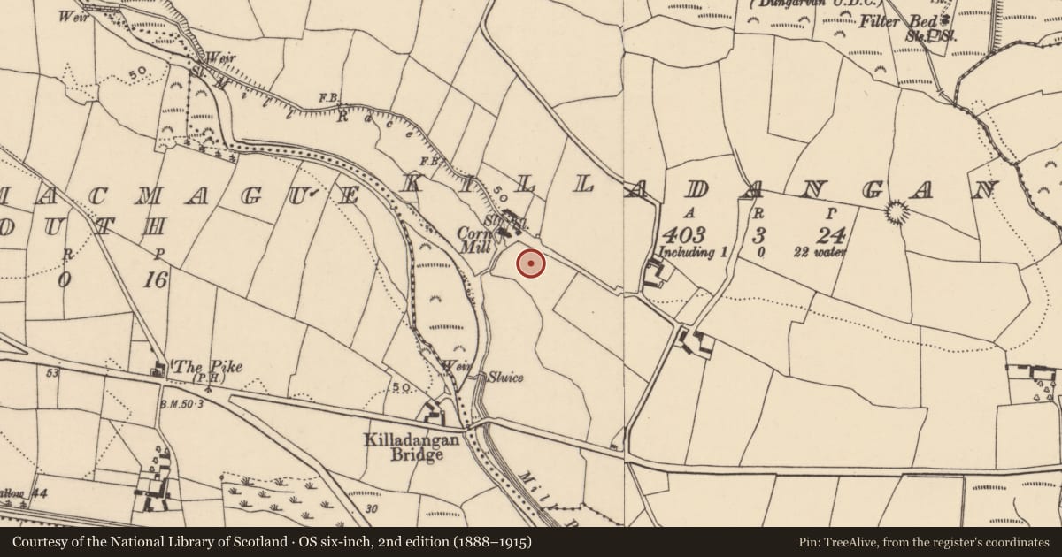 Ordnance Survey six-inch map, 2nd edition (1888–1915) covering the location of Enclosure, Killadangan, County Waterford, with a pin at the register's coordinates