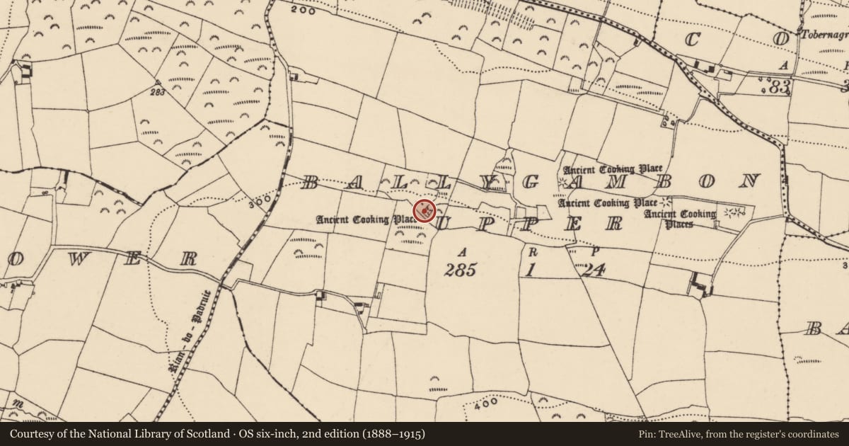 Ordnance Survey six-inch map, 2nd edition (1888–1915) covering the location of Fulacht fia, Ballygambon Upper, County Waterford, with a pin at the register's coordinates