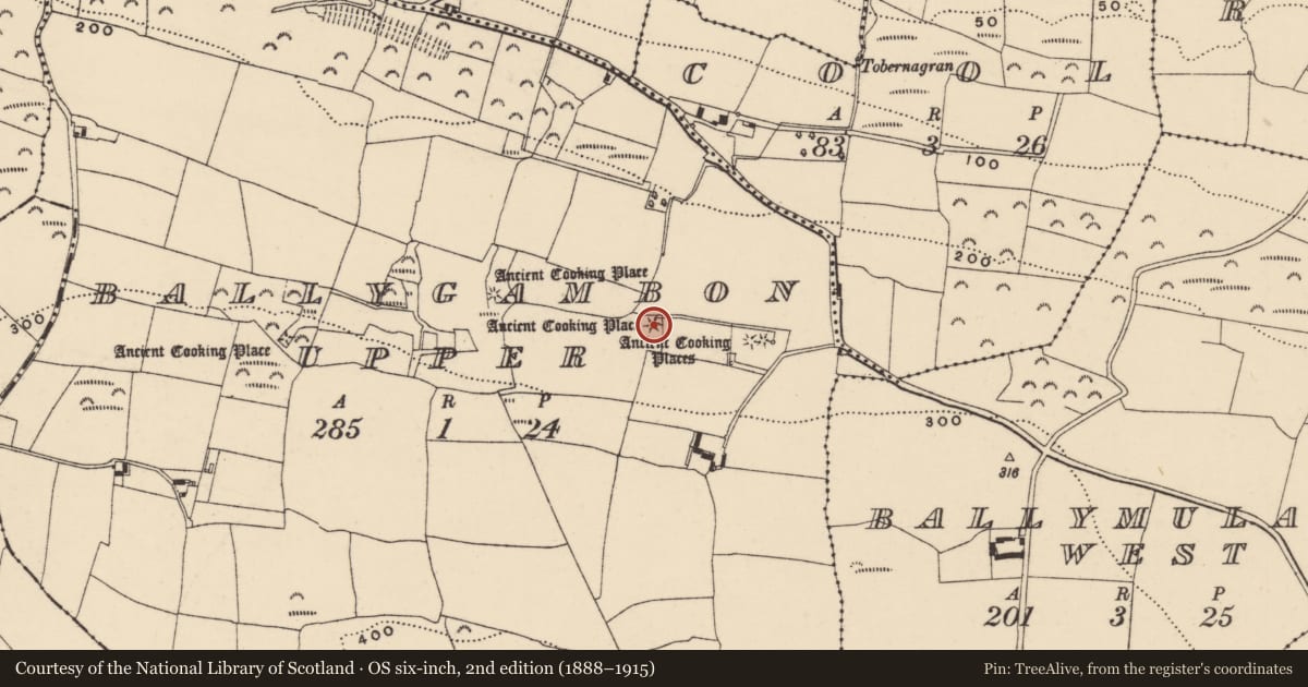 Ordnance Survey six-inch map, 2nd edition (1888–1915) covering the location of Fulacht fia, Ballygambon Upper, County Waterford, with a pin at the register's coordinates