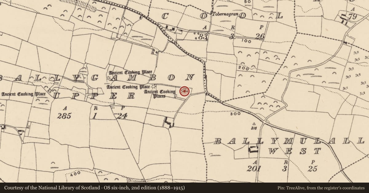 Ordnance Survey six-inch map, 2nd edition (1888–1915) covering the location of Fulacht fia, Ballygambon Upper, County Waterford, with a pin at the register's coordinates