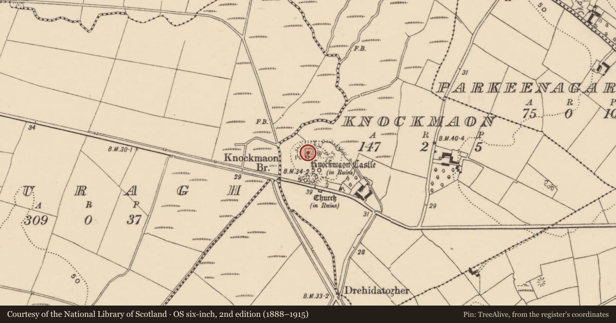 Ordnance Survey six-inch map, 2nd edition (1888–1915) covering the location of Bawn, Knockmaon, County Waterford, with a pin at the register's coordinates