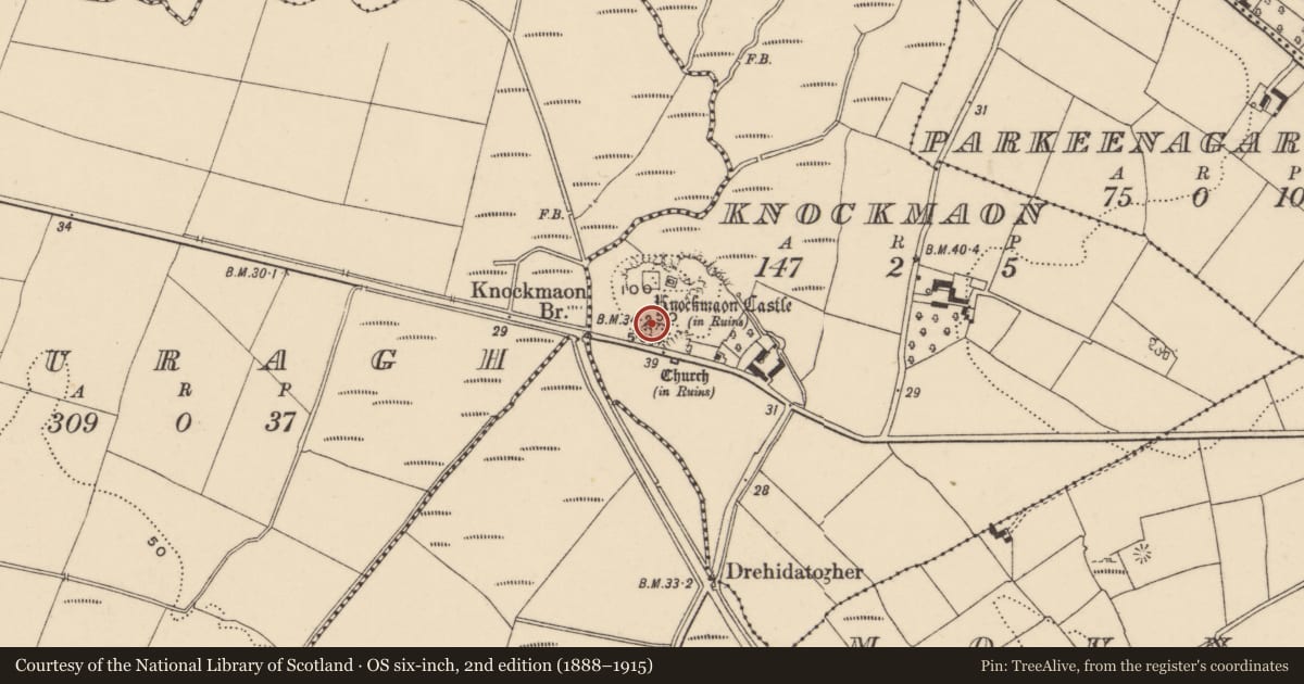 Ordnance Survey six-inch map, 2nd edition (1888–1915) covering the location of Cross-inscribed stone, Knockmaon, County Waterford, with a pin at the register's coordinates