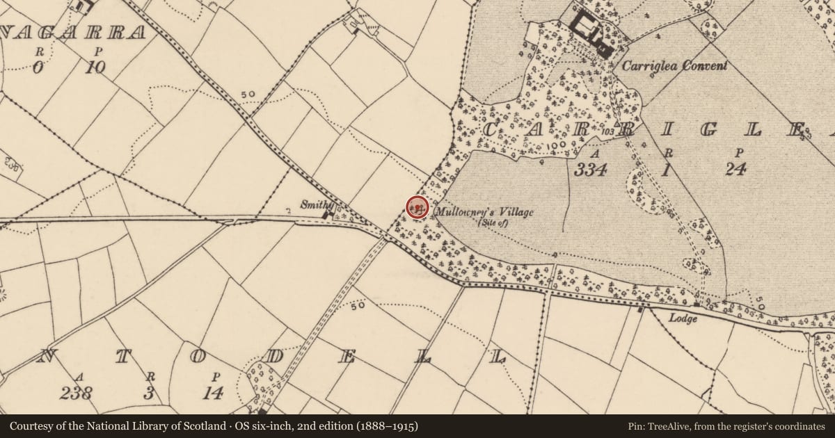 Ordnance Survey six-inch map, 2nd edition (1888–1915) covering the location of Settlement deserted - medieval, Carriglea, County Waterford, with a pin at the register's coordinates