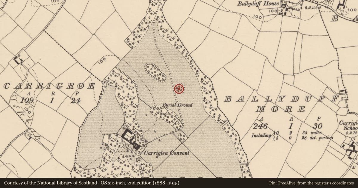 Ordnance Survey six-inch map, 2nd edition (1888–1915) covering the location of Ringfort - unclassified, Carriglea, County Waterford, with a pin at the register's coordinates