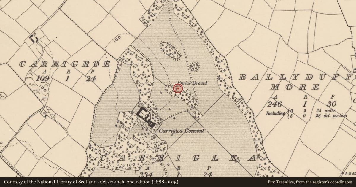 Ordnance Survey six-inch map, 2nd edition (1888–1915) covering the location of Burial ground, Carriglea, County Waterford, with a pin at the register's coordinates
