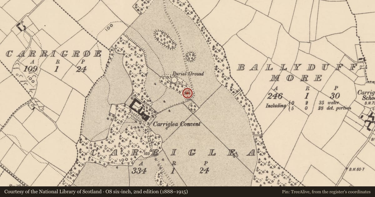 Ordnance Survey six-inch map, 2nd edition (1888–1915) covering the location of Ringfort - unclassified, Carriglea, County Waterford, with a pin at the register's coordinates
