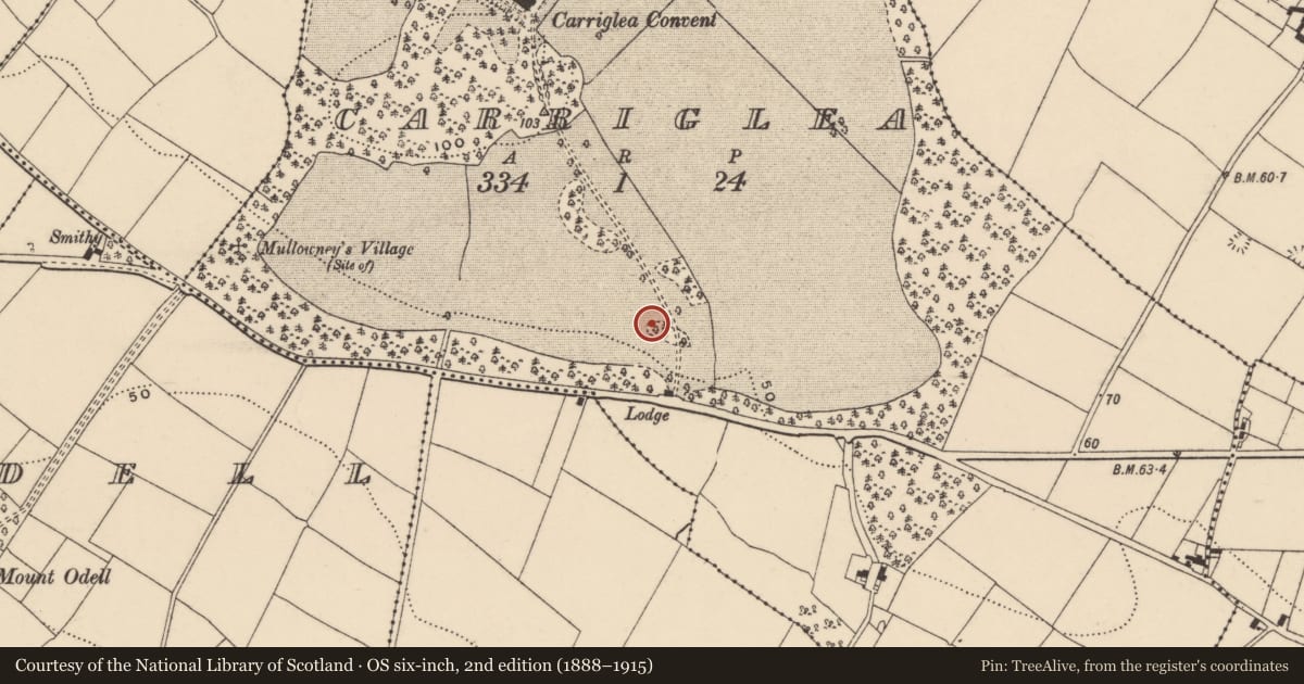 Ordnance Survey six-inch map, 2nd edition (1888–1915) covering the location of Earthwork, Carriglea, County Waterford, with a pin at the register's coordinates
