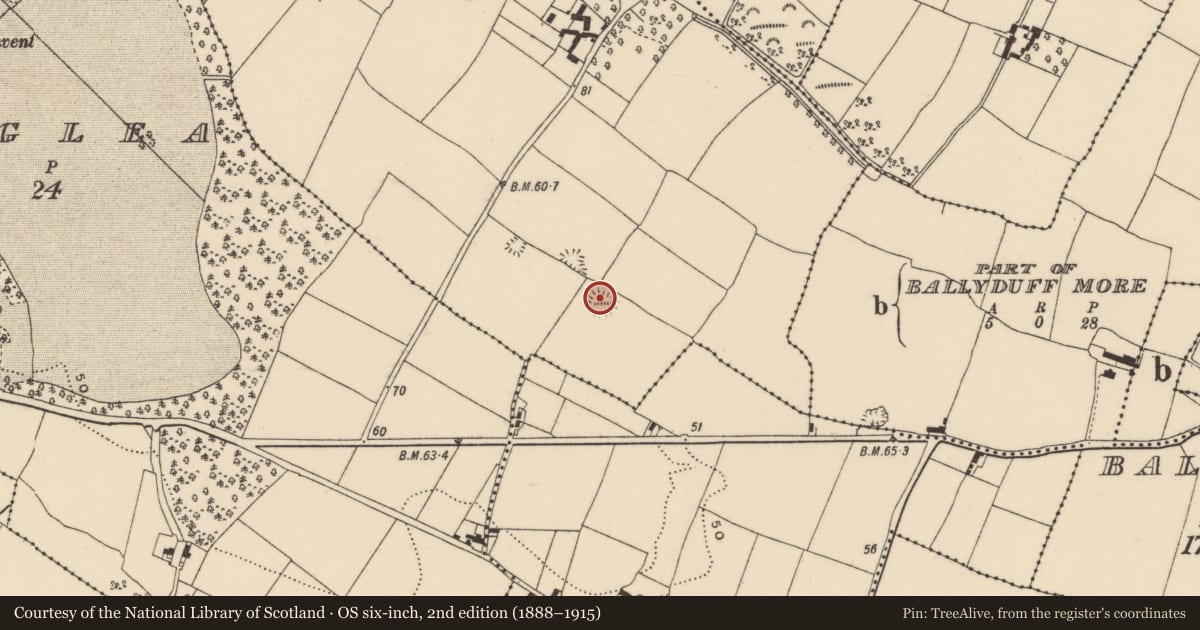 Ordnance Survey six-inch map, 2nd edition (1888–1915) covering the location of Ringfort - unclassified, Ballyduff More, County Waterford, with a pin at the register's coordinates