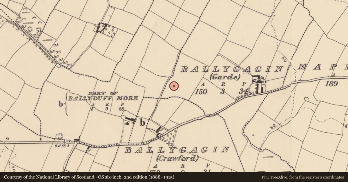 Ordnance Survey six-inch map, 2nd edition (1888–1915) covering the location of Enclosure, Ballygagin (Garde), County Waterford, with a pin at the register's coordinates