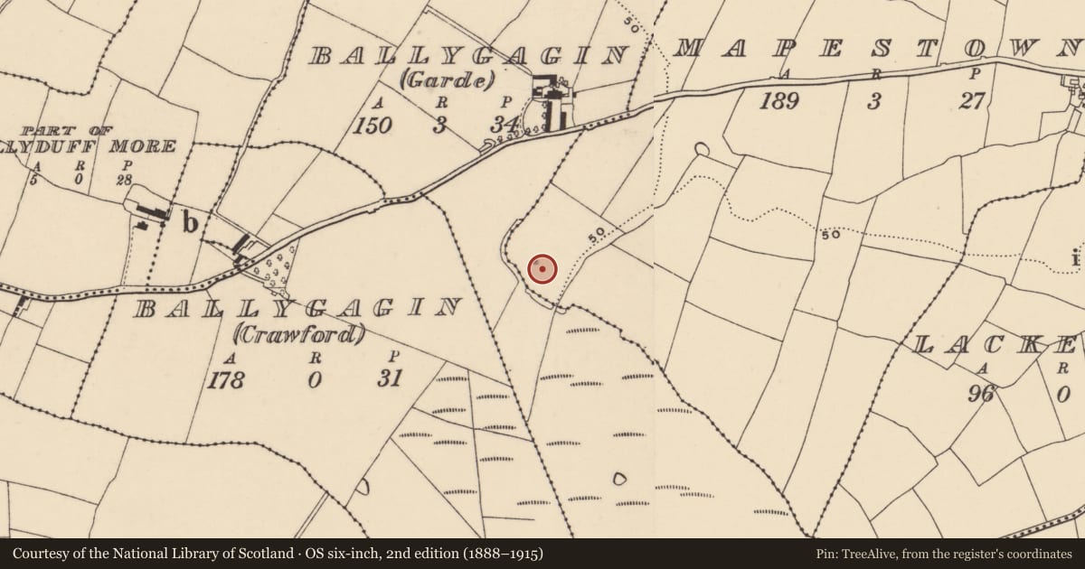 Ordnance Survey six-inch map, 2nd edition (1888–1915) covering the location of Enclosure, Mapestown, County Waterford, with a pin at the register's coordinates