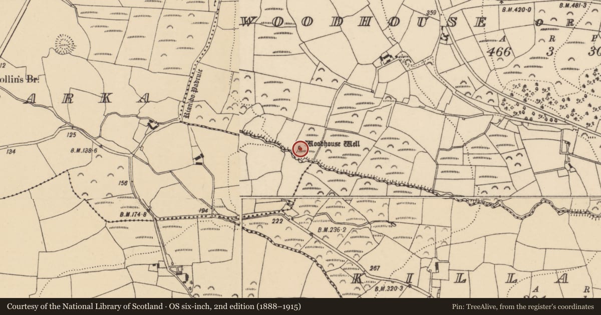Ordnance Survey six-inch map, 2nd edition (1888–1915) covering the location of Ritual site - holy well, Woodhouse Or Tinakilly, County Waterford, with a pin at the register's coordinates