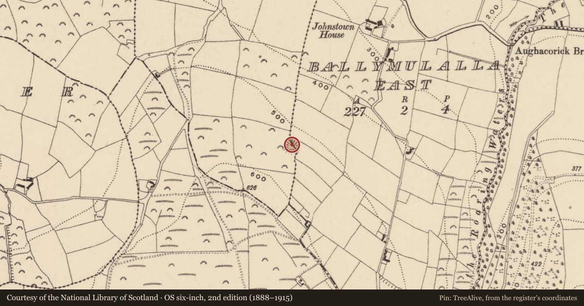 Ordnance Survey six-inch map, 2nd edition (1888–1915) covering the location of Ringfort - rath, Ballymulalla East, Ballymulalla West, County Waterford, with a pin at the register's coordinates