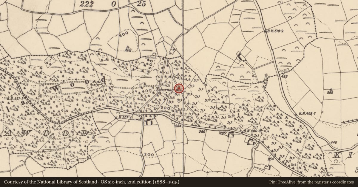 Ordnance Survey six-inch map, 2nd edition (1888–1915) covering the location of Ritual site - holy well, Inchindrisla, County Waterford, with a pin at the register's coordinates