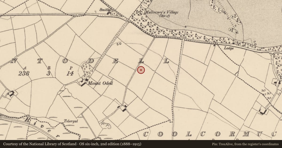 Ordnance Survey six-inch map, 2nd edition (1888–1915) covering the location of Souterrain, Mountodell, County Waterford, with a pin at the register's coordinates