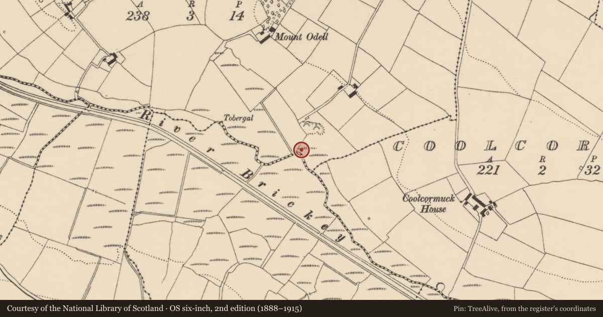 Ordnance Survey six-inch map, 2nd edition (1888–1915) covering the location of Burnt mound, Mountodell, County Waterford, with a pin at the register's coordinates