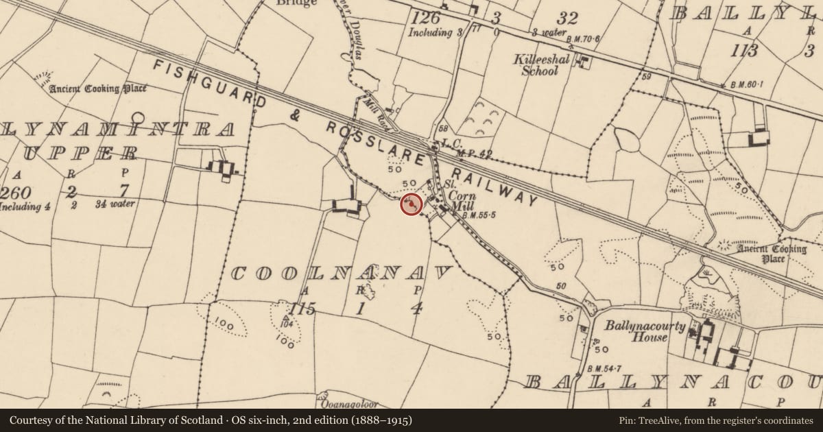 Ordnance Survey six-inch map, 2nd edition (1888–1915) covering the location of Cave, Coolnanav, County Waterford, with a pin at the register's coordinates