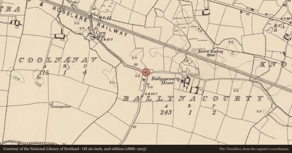 Ordnance Survey six-inch map, 2nd edition (1888–1915) covering the location of Cave, Ballynacourty (Decies without Drum By., Whitechurch Par.), County Waterford, with a pin at the register's coordinates