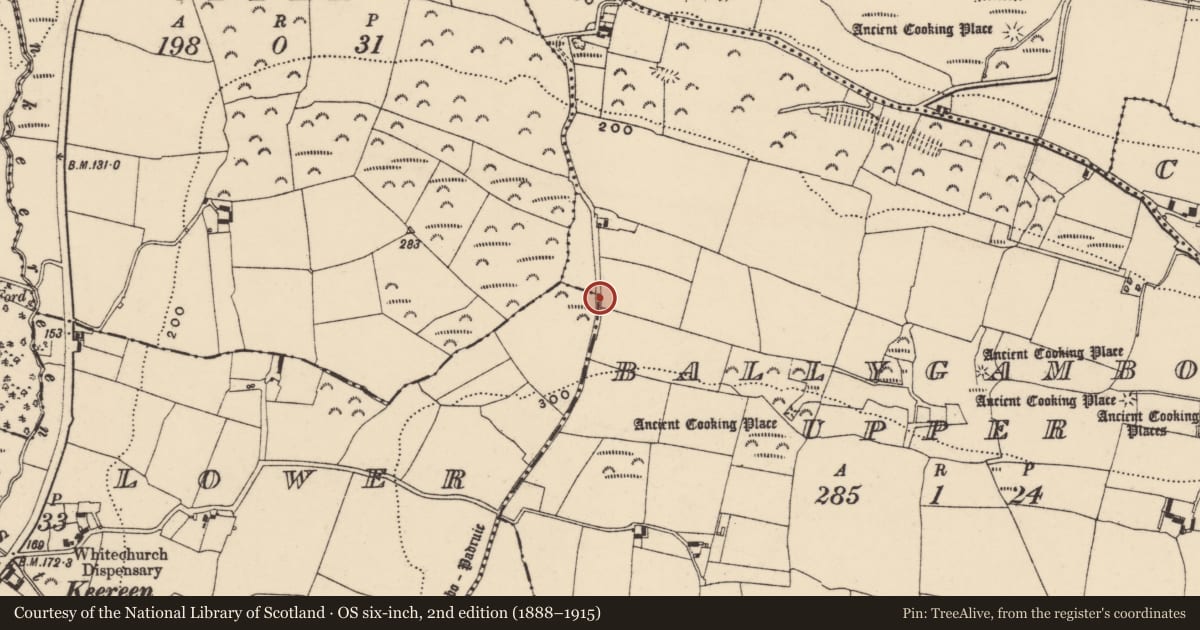 Ordnance Survey six-inch map, 2nd edition (1888–1915) covering the location of Road - road/trackway, County Waterford, with a pin at the register's coordinates
